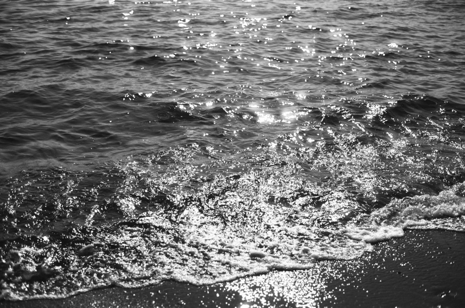 Lomography Babylon Kino B&W  / 135 - ISO 13